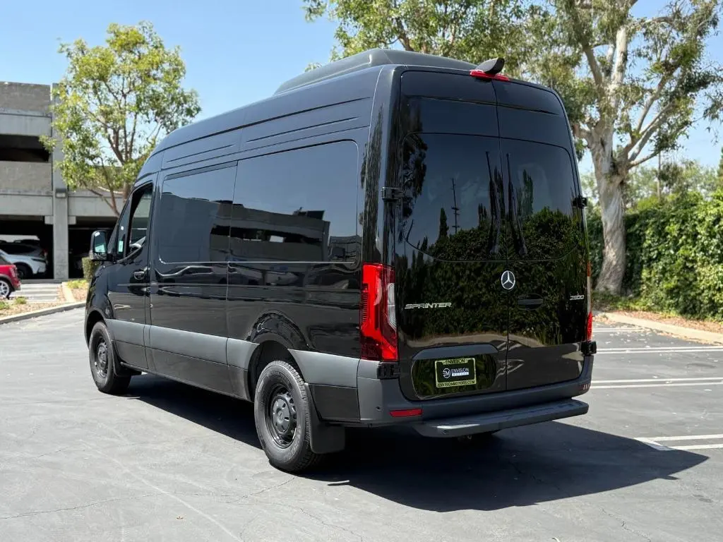 Mercedes Sprinter 12-Passenger photo 6